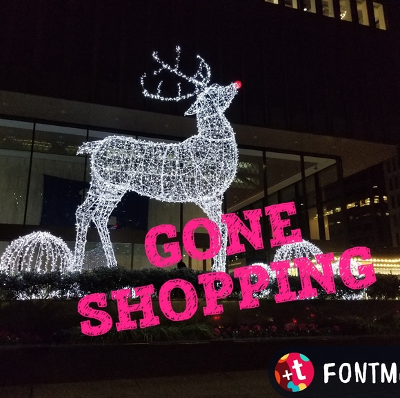 Status - Picture 14 of 15